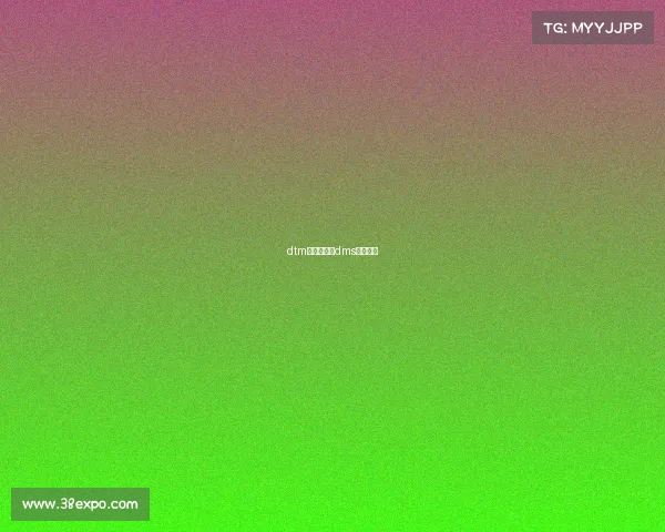 dtm新赛事方案dms赛事规则