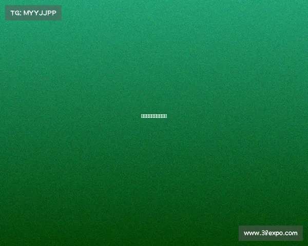 怀化市第十七届运动会